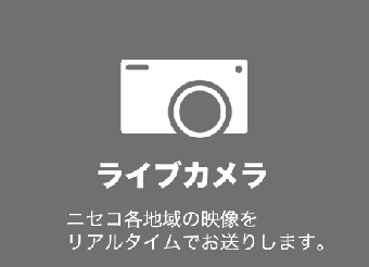 ライブカメラ