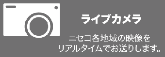 ライブカメラ